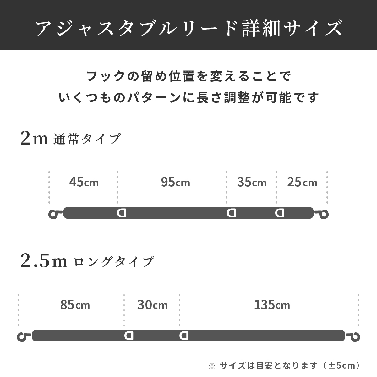 【予約販売】Buddys　Arrow アジャスタブルリード（2.5mロングタイプ）/Red_2