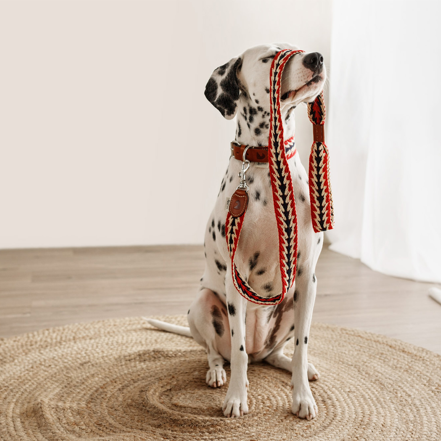 Buddys　Arrow アジャスタブルリード（2.5mロングタイプ）/Red_3