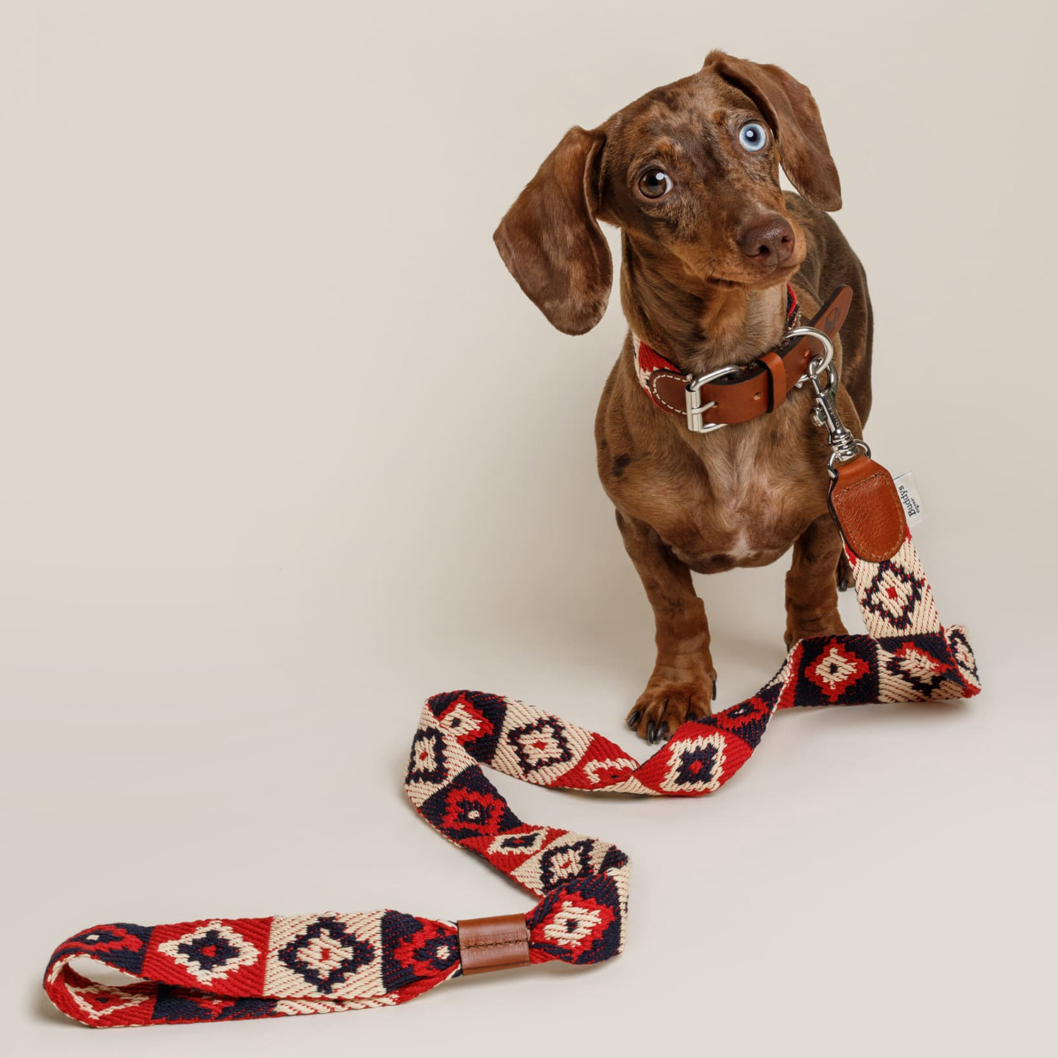 Buddys　Indian アジャスタブルリード（2.5mロングタイプ）/Red_3