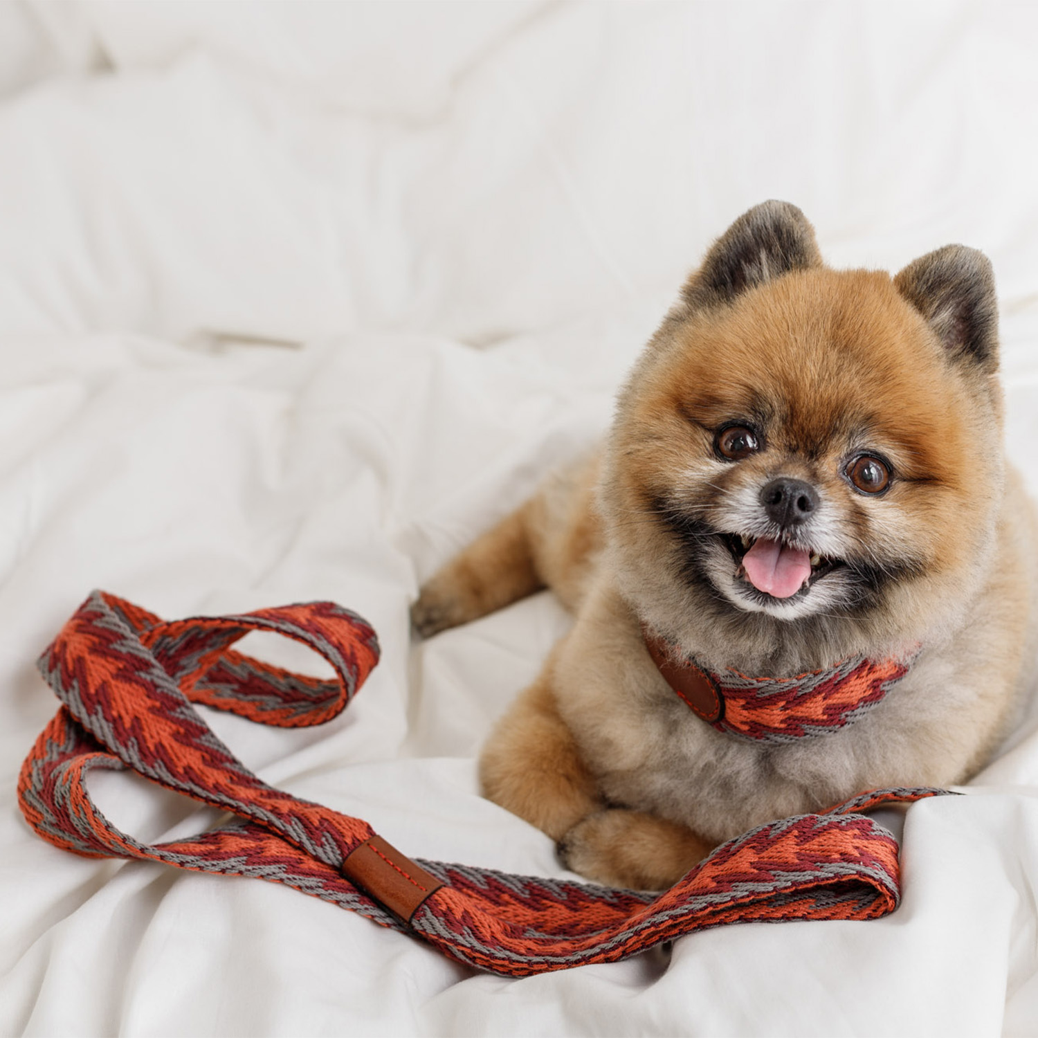 Buddys　Arrow アジャスタブルリード（2.5mロングタイプ）/Orange_3