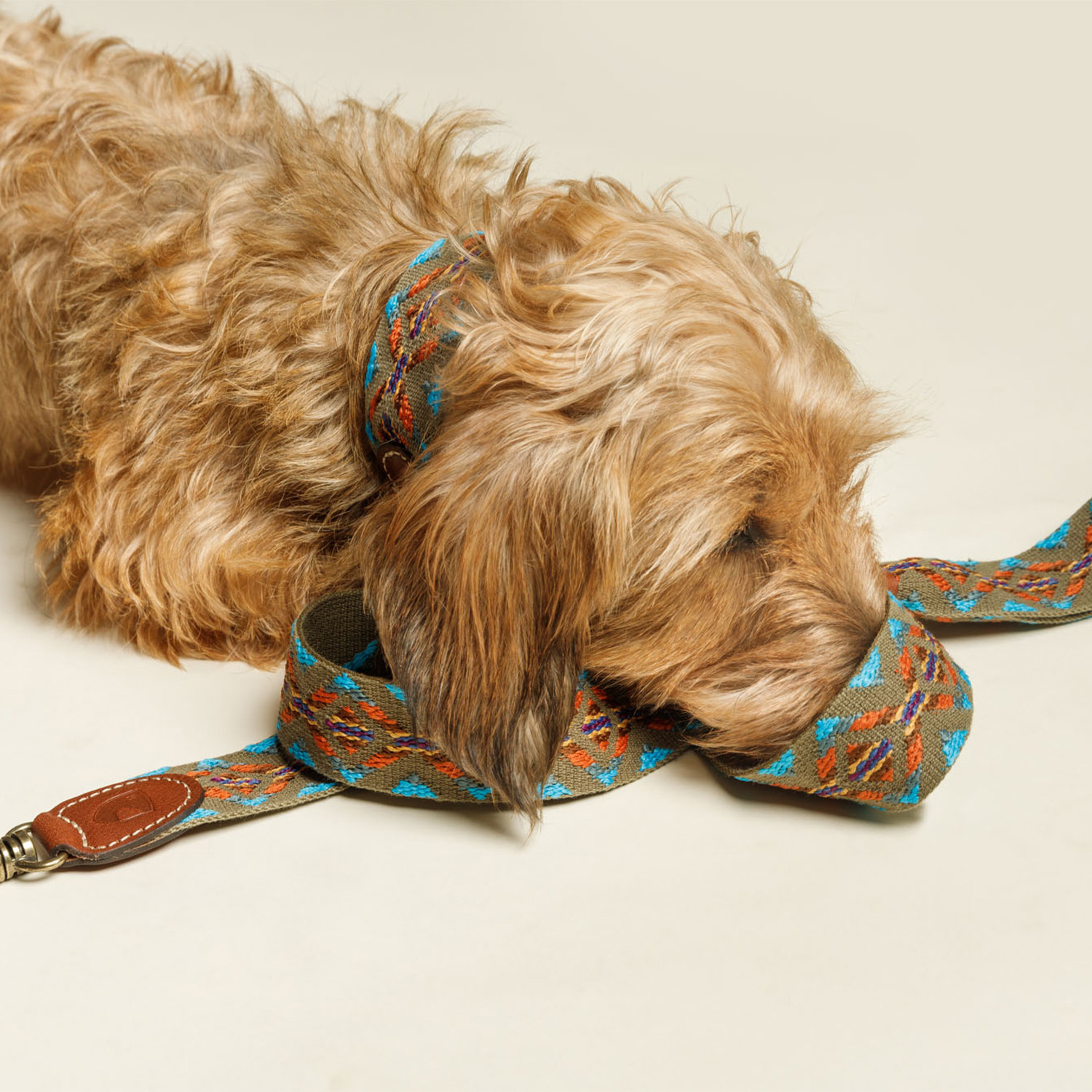 Buddys　Etna アジャスタブルリード（2.5mロングタイプ）/Green_3