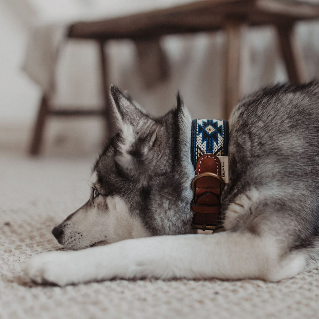 Buddys　Peyote アジャスタブルリード（2.5mロングタイプ）/Blue_4