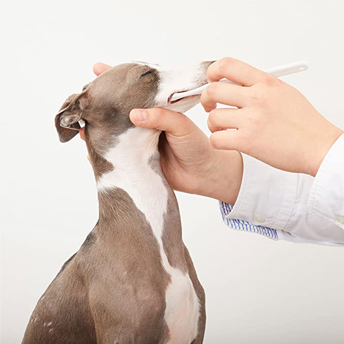 【20%OFF】メイドオブオーガニクス　トゥースペースト/ブルーベリー_2