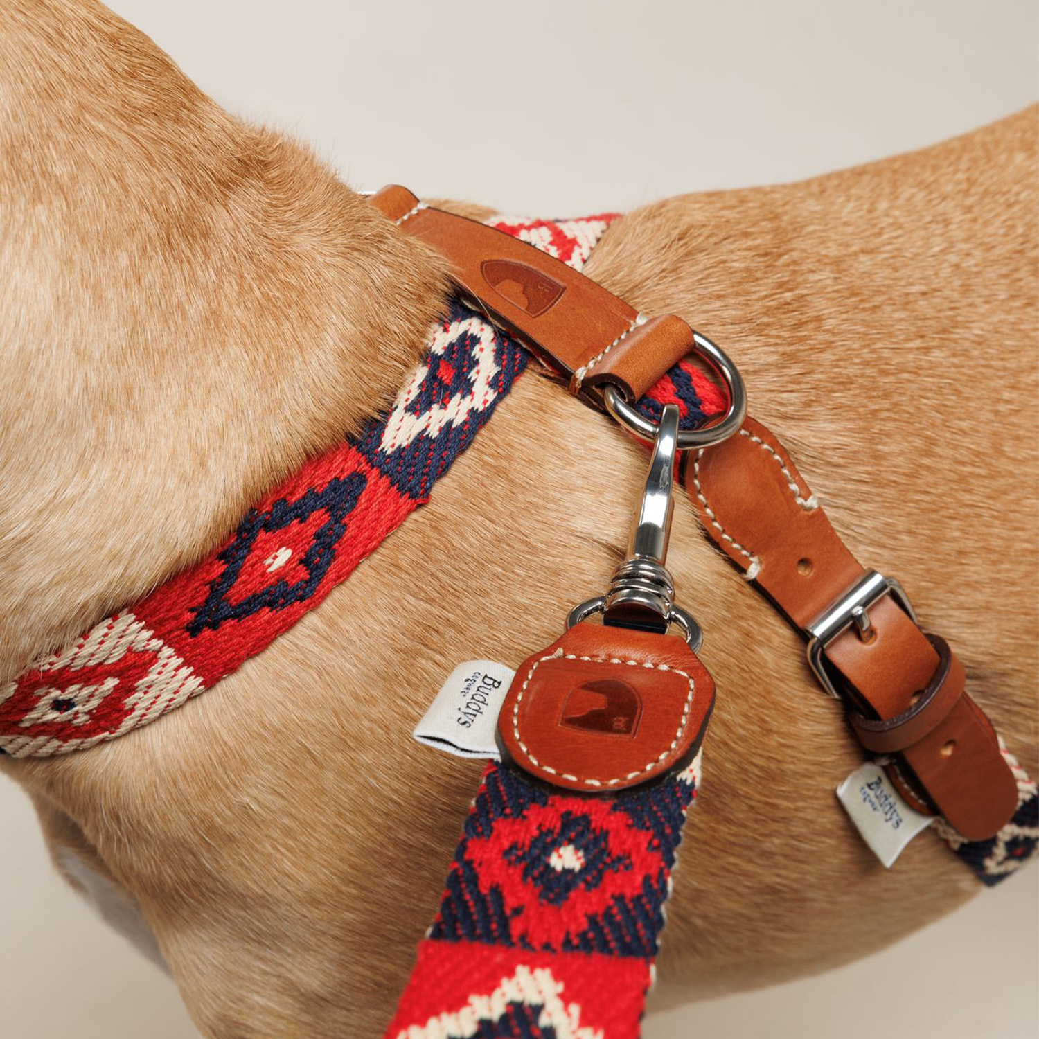 Buddys　Indian ハーネス Red_4