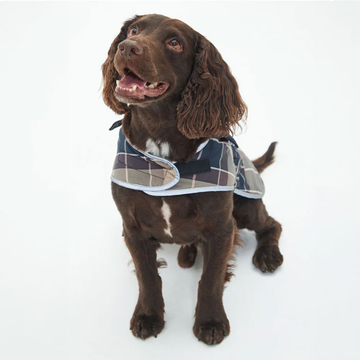 Barbour　タータンドッグコート_1
