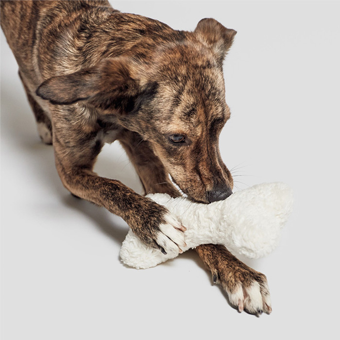 Cloud7　Love Bone Nature White Plush_3