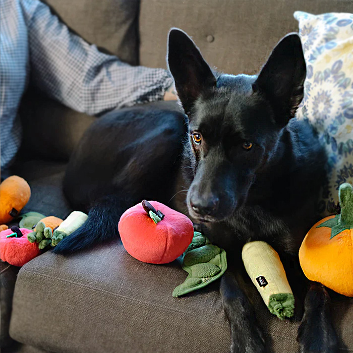 P.L.A.Y.　犬用おもちゃ Garden Fresh ピーポッド（えんどう豆）_4