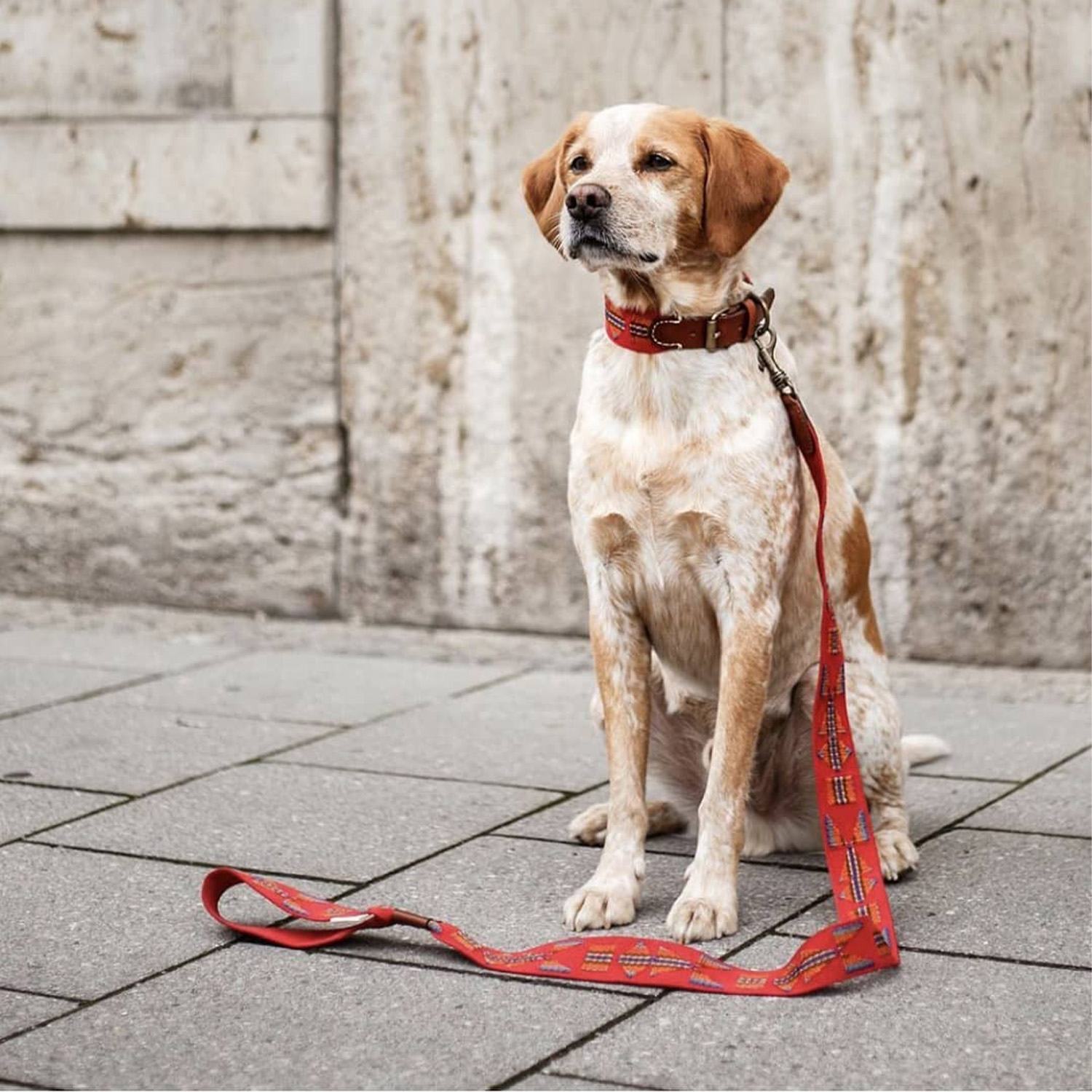 【予約販売】Buddys Etna アジャスタブルリード(2.5mロングタイプ)/Red_1