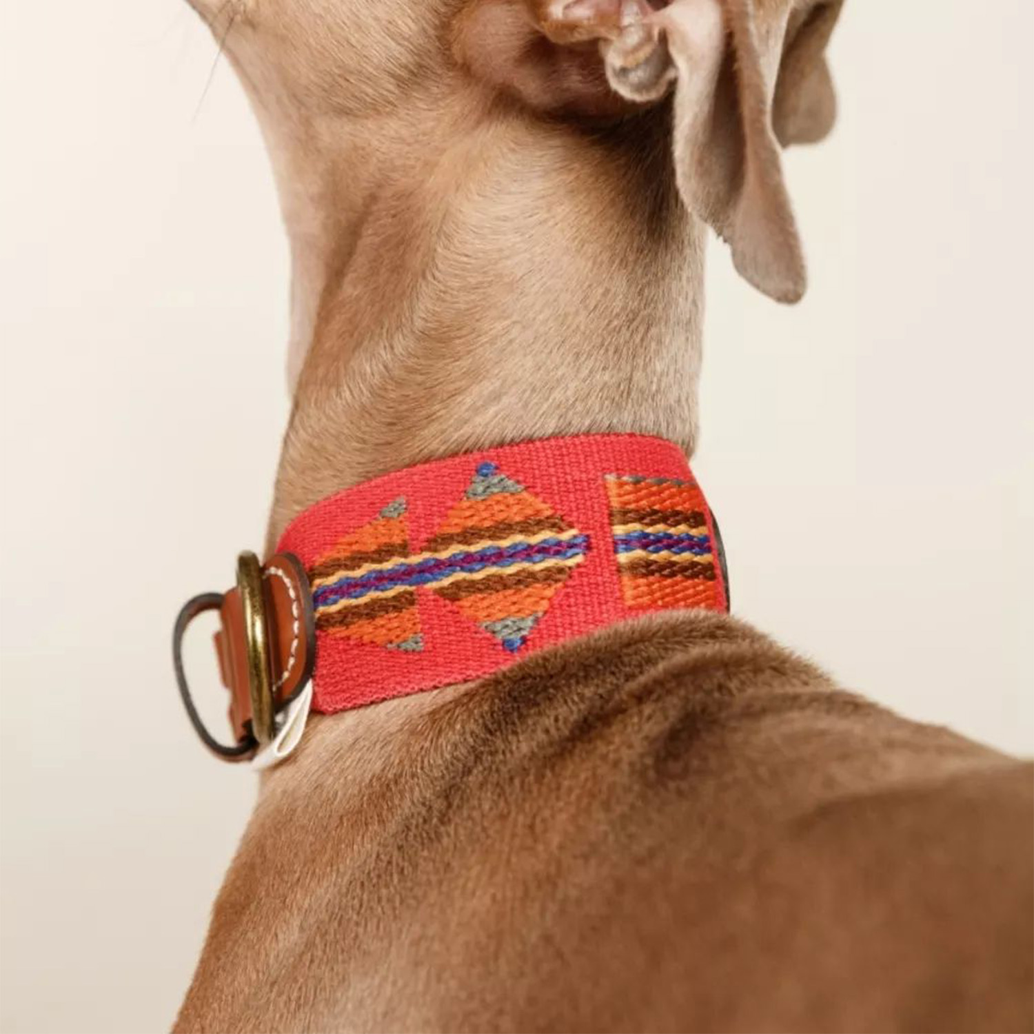 【予約販売】Buddys Etna アジャスタブルリード(2.5mロングタイプ)/Red_2