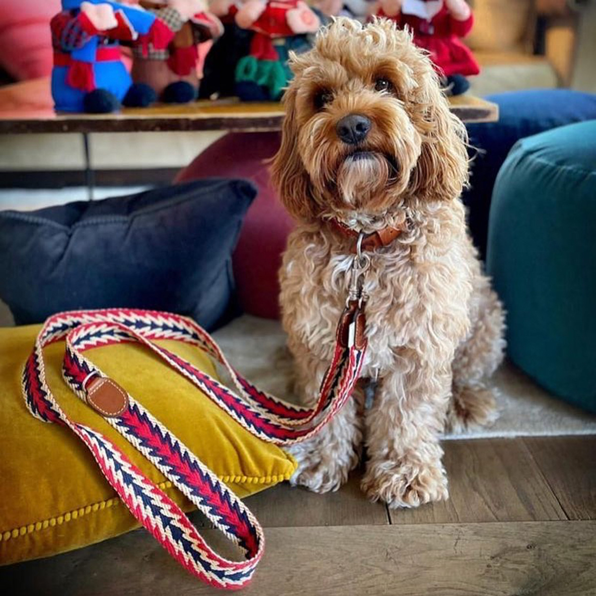 【予約販売】Buddys Arrow アジャスタブルリード(2.5mロングタイプ)/Red_2