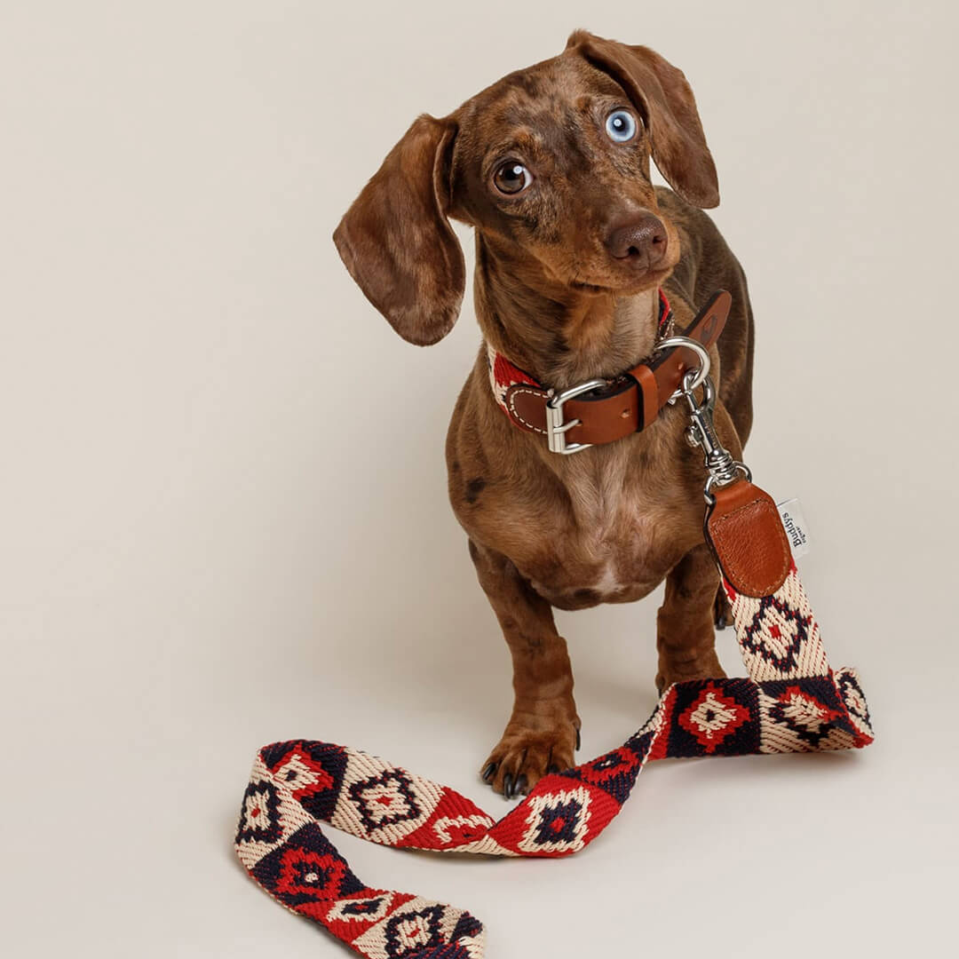 【予約販売】Buddys Indian アジャスタブルリード(2.5mロングタイプ)/Red_1