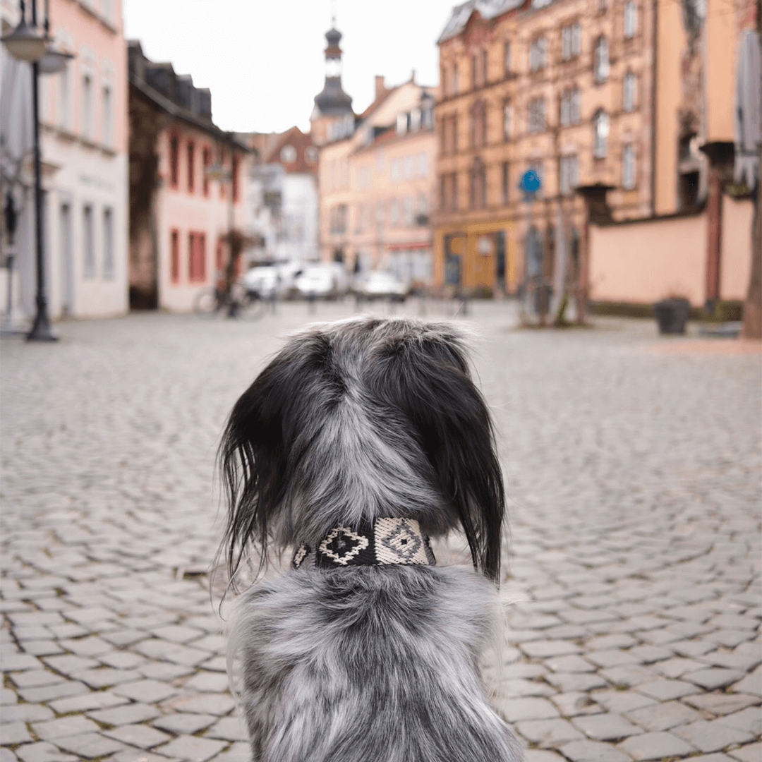 【予約販売】Buddys Indian アジャスタブルリード(2.5mロングタイプ)/Black_1