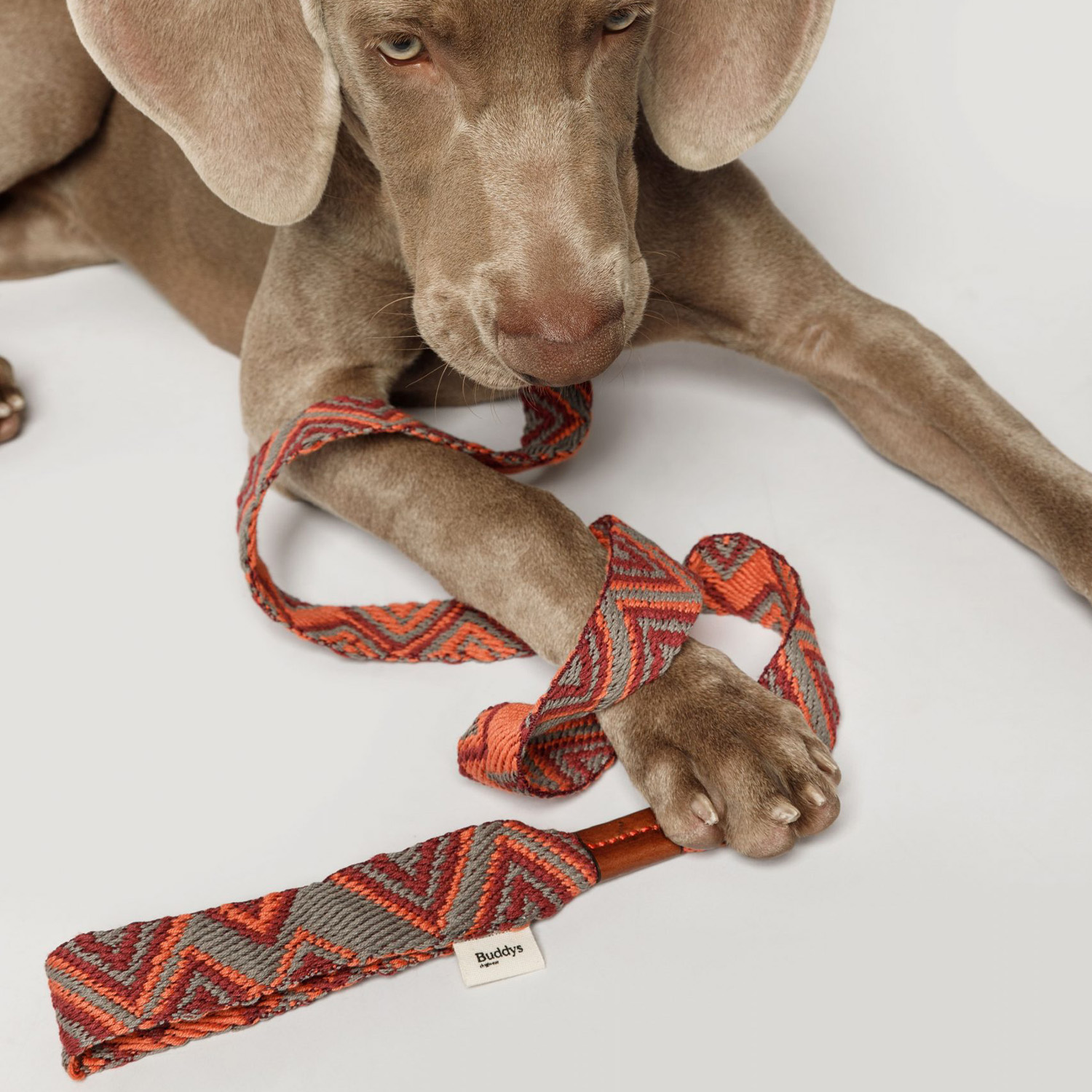 【予約販売】Buddys Pikes アジャスタブルリード(2.5mロングタイプ)/Orange_2