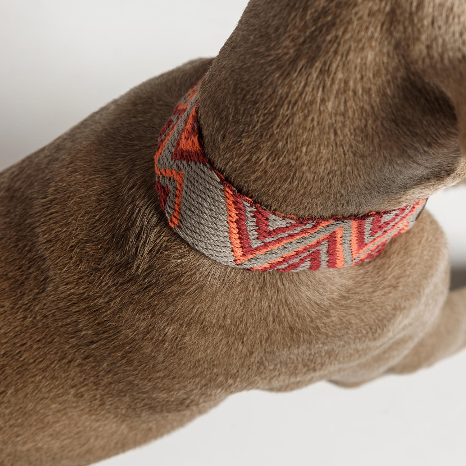 【予約販売】Buddys Pikes アジャスタブルリード(2.5mロングタイプ)/Orange_3