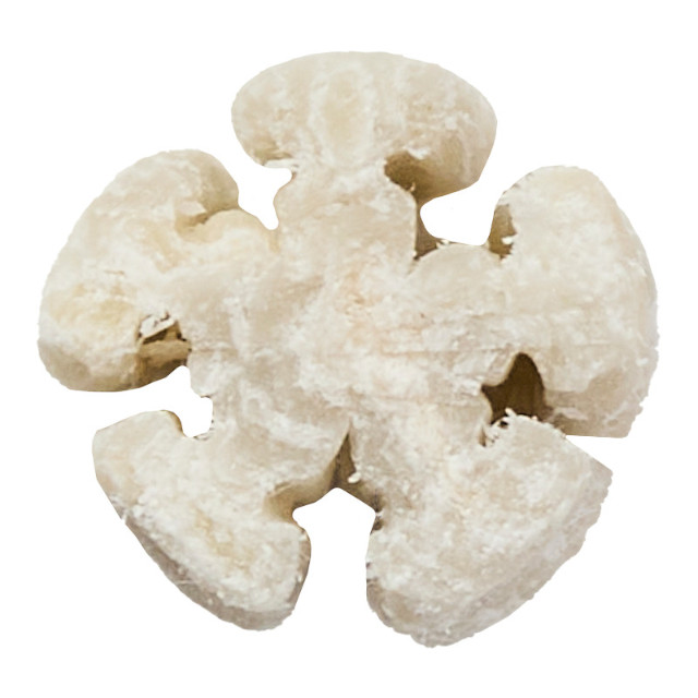 米粉入 乳酸菌スティック_2