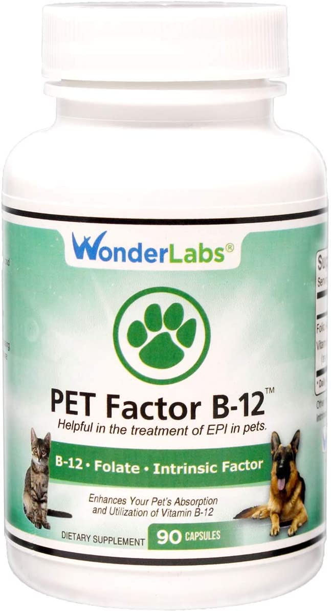 Vitamin B-12 for dogs