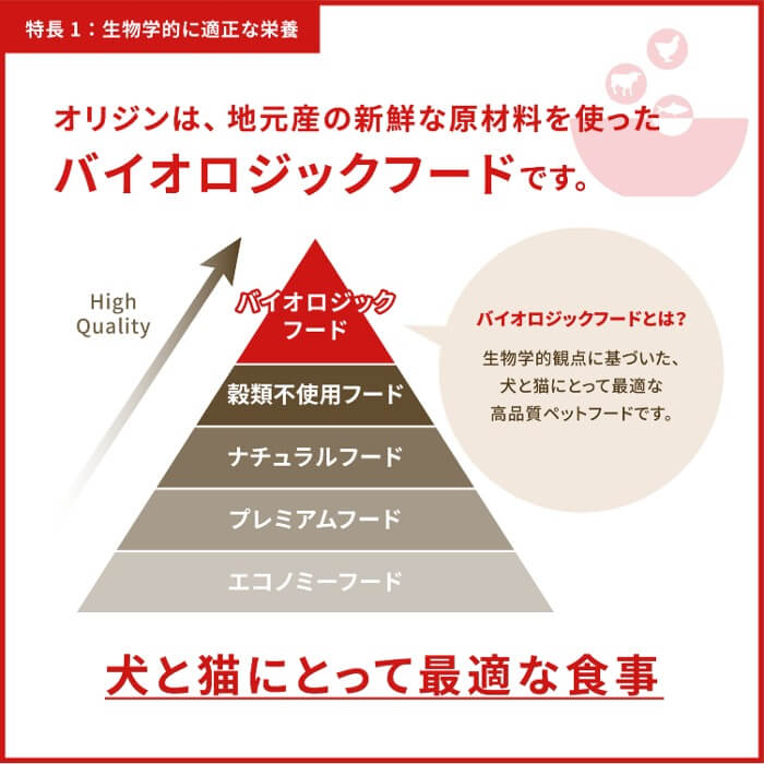 【50%OFF】Orijenドッグフード パピー　340g_9