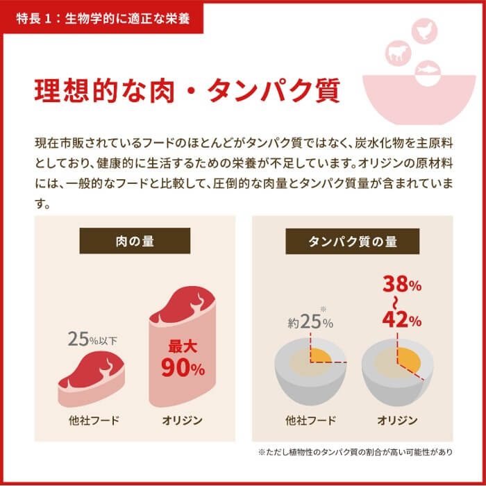 【50%OFF】Orijenドッグフード パピー　340g_10