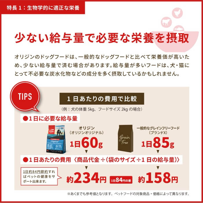 【50%OFF】Orijenドッグフード パピー　340g_12