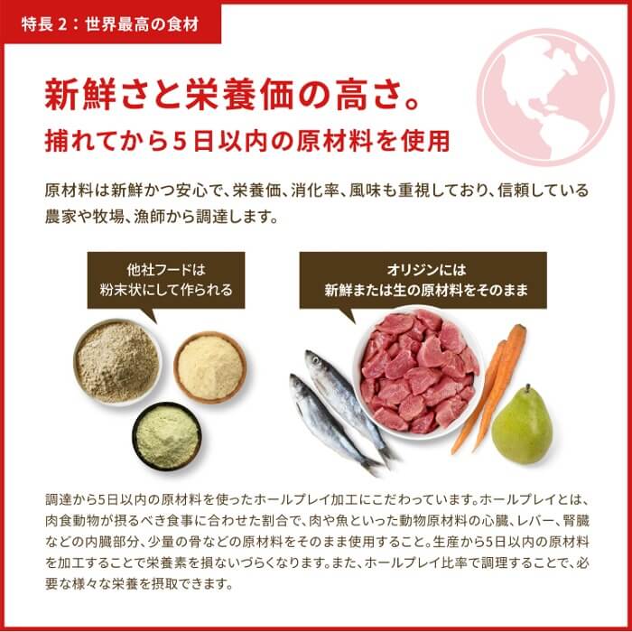 【50%OFF】Orijenドッグフード パピー　340g_13