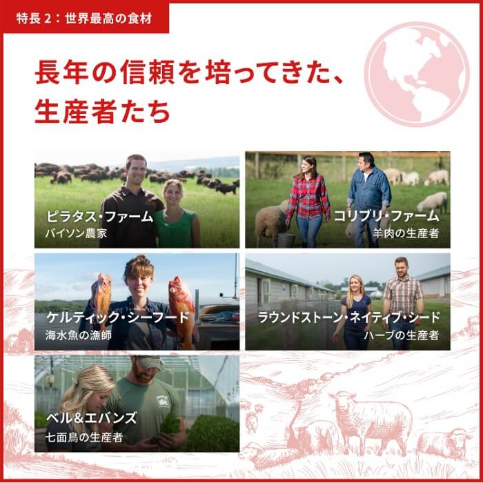 【50%OFF】Orijenドッグフード パピー　340g_14