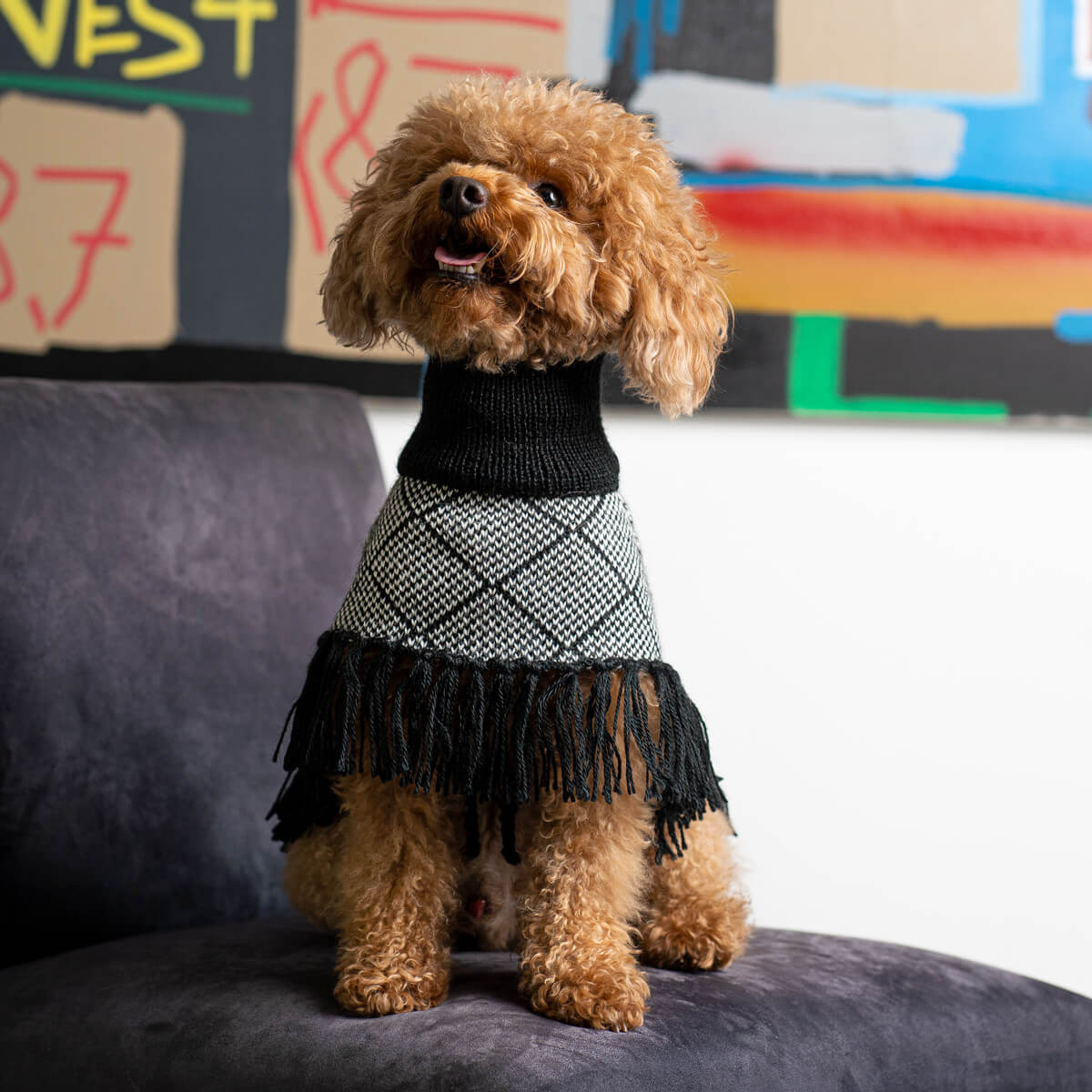 ALQO WASI　ダイヤモンドブラック フリンジ ポンチョ / Diamond Black Alpaca Dog Poncho_1