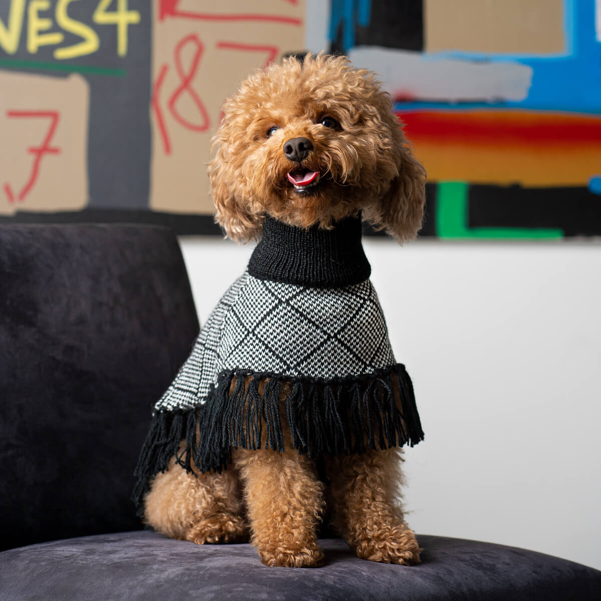 ALQO WASI　ダイヤモンドブラック フリンジ ポンチョ / Diamond Black Alpaca Dog Poncho
