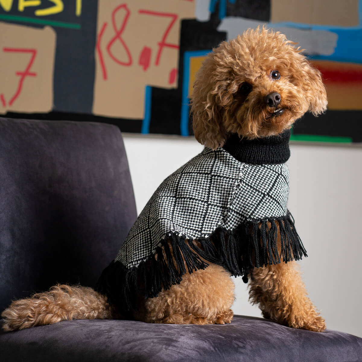 ALQO WASI　ダイヤモンドブラック フリンジ ポンチョ / Diamond Black Alpaca Dog Poncho_2