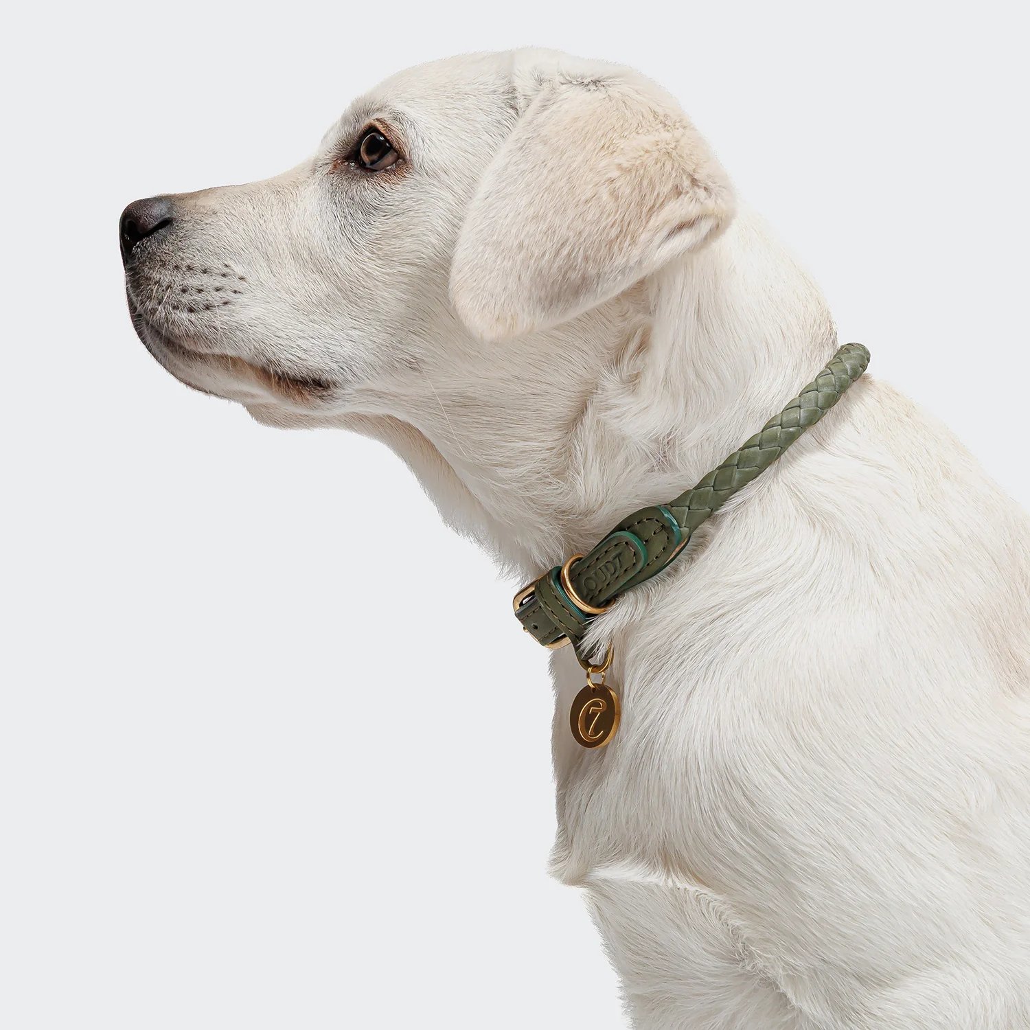 Cloud7　Ravello 首輪 Moss_4