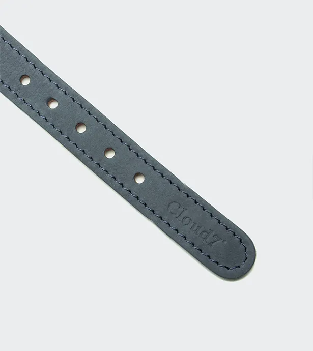 Cloud7　Tiergarten 首輪 Dove_2