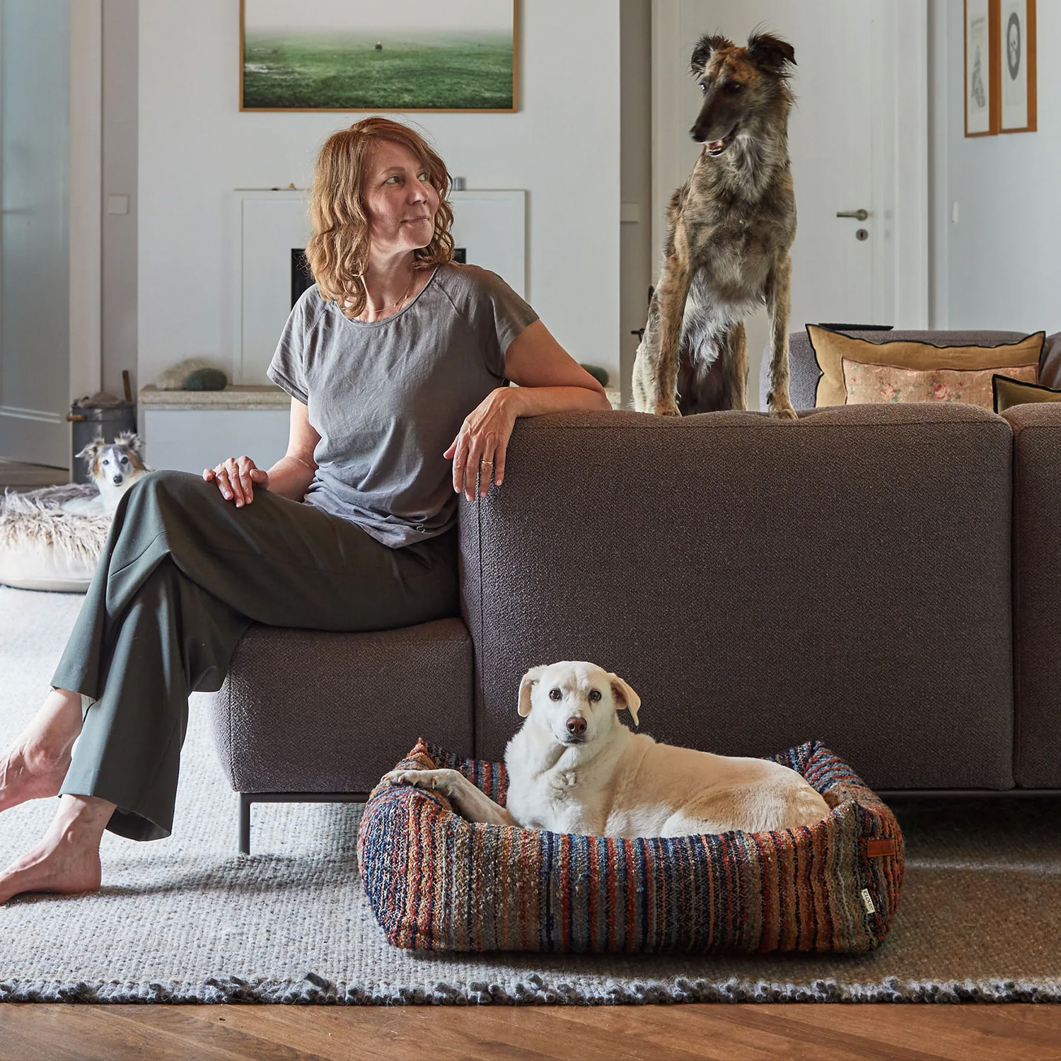 Cloud7　Sleepy Deluxe ベッド Stripes Blue-Red_5