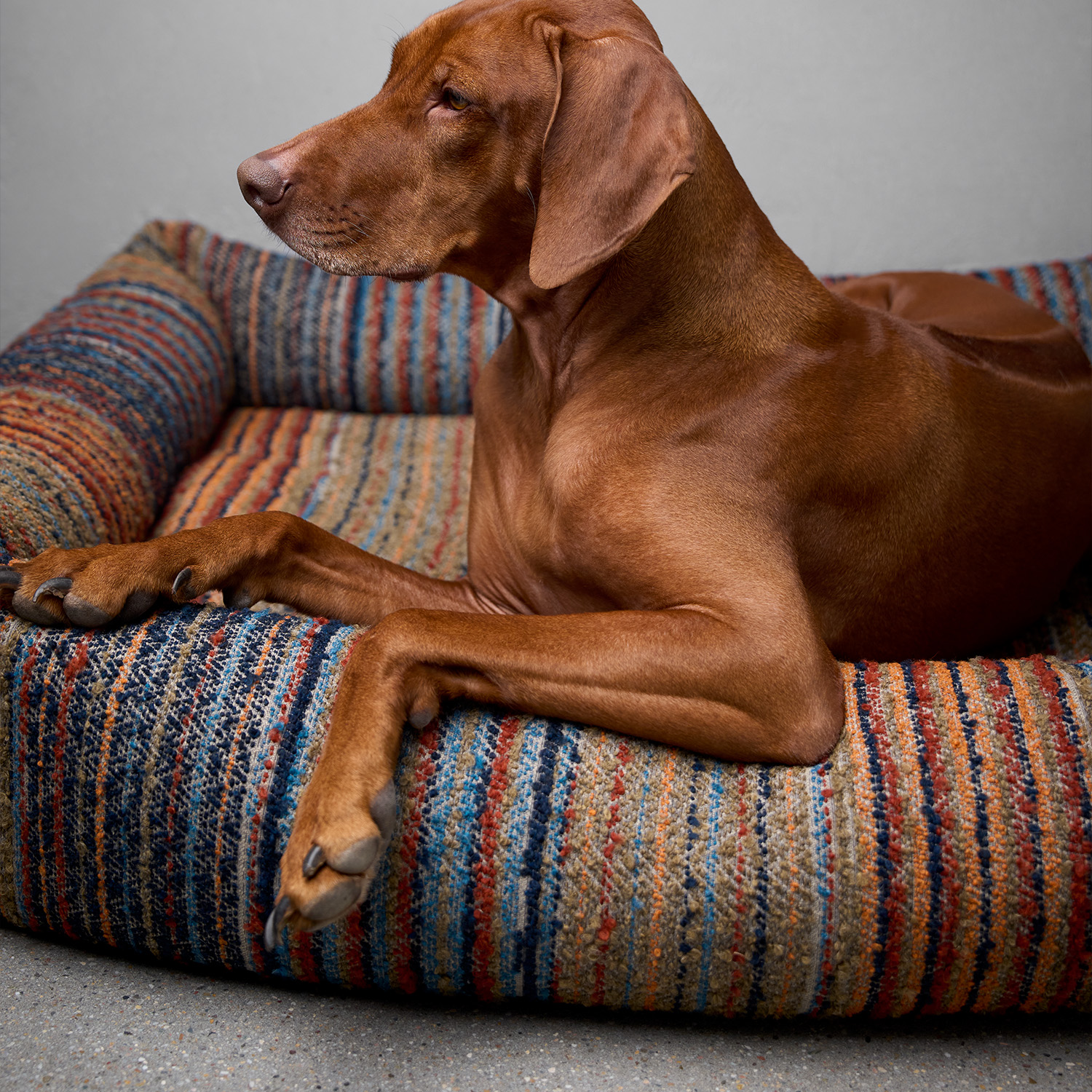 Cloud7　Sleepy Deluxe ベッド Stripes Blue-Red_8