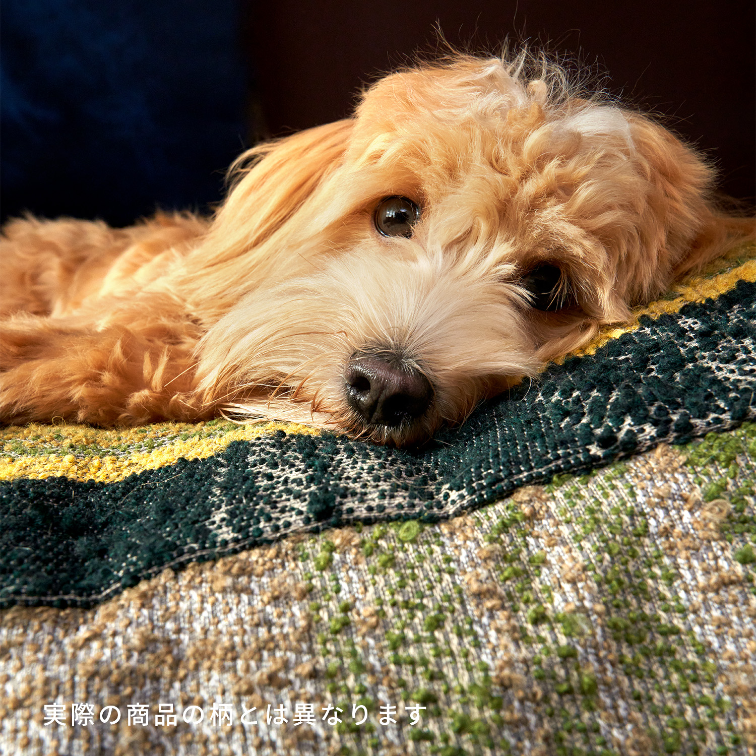 Cloud7 Cube Curl ベッド Green_6