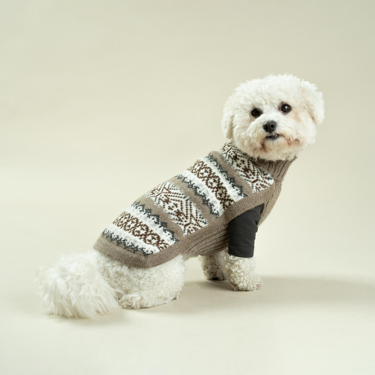 ALQO WASI　ドッグセーター　Echoes Alpaca Dog Sweater_1