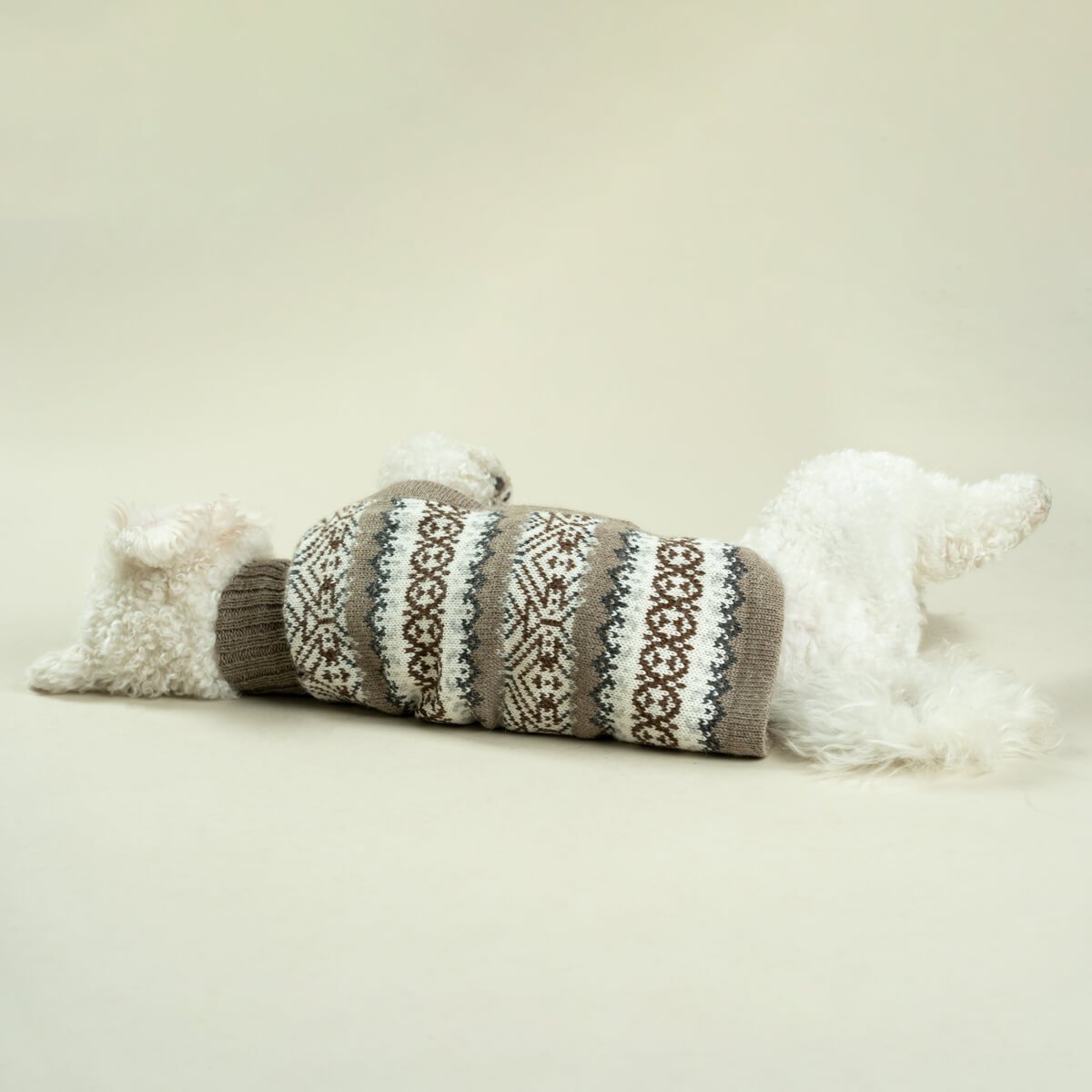 ALQO WASI　ドッグセーター　Echoes Alpaca Dog Sweater_2