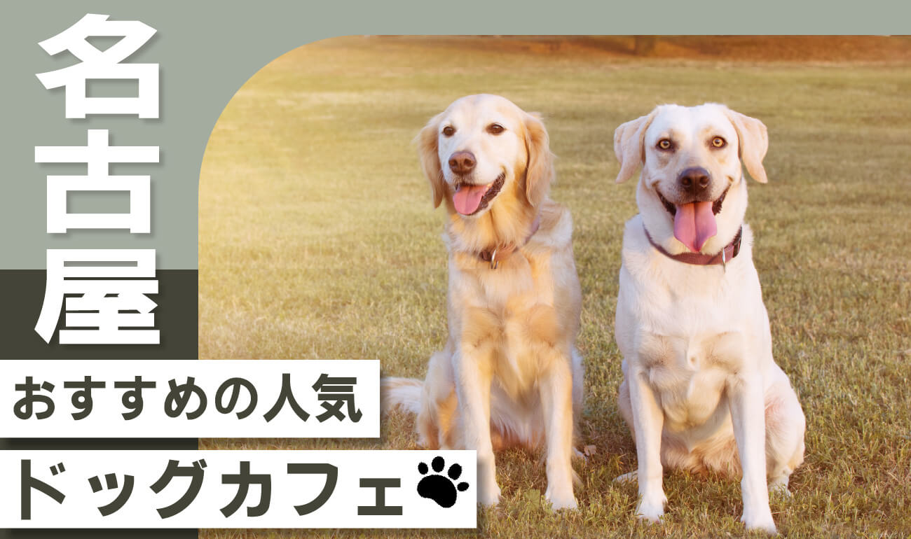 【名古屋】愛犬同伴！おすすめのドッグカフェ人気ランキング12選