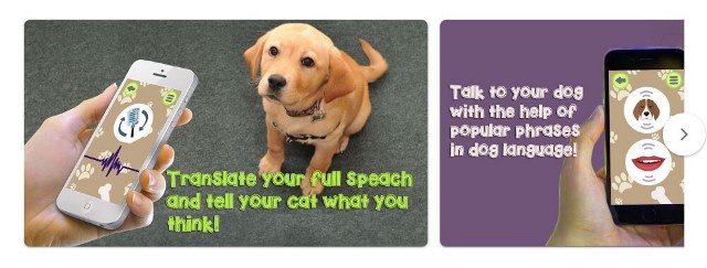 最新！犬語の翻訳アプリをご紹介！！進化する愛犬のためのアプリとは