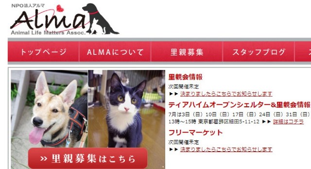 保護犬を飼いたい！と思ったらやるべきこと。おすすめの施設をご紹介