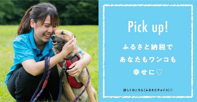 保護犬を飼いたい！と思ったらやるべきこと。おすすめの施設をご紹介