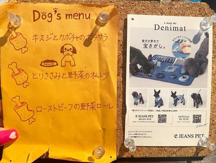 愛犬と一緒におしゃれな店内でランチやディナー