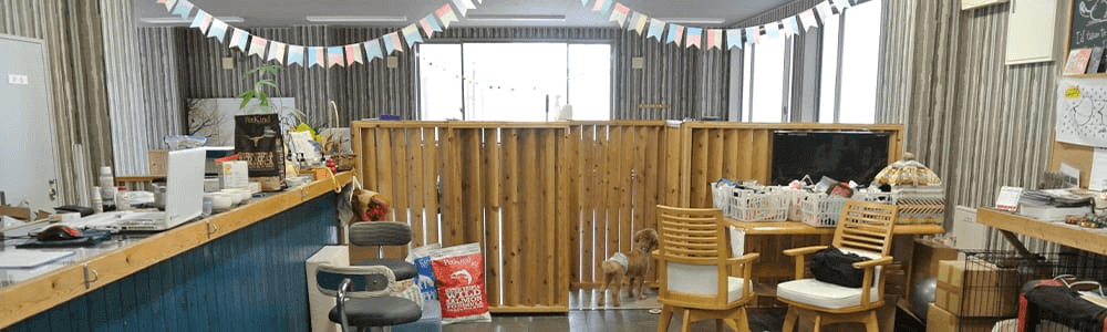 静岡で雨の日に遊べる室内ドッグラン：DogリフレOGGI