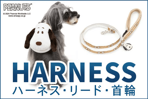 ハーネス日本の人気ブランド：PET PARADISE