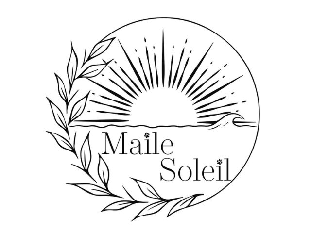 Maile Soleil（日立市）