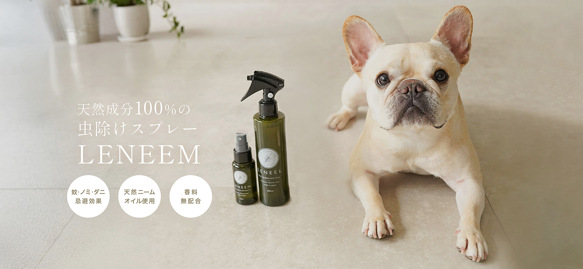 天然成分100%の虫除けスプレーLENEEM販売中 | 愛犬のオシャレなグッズならLutie