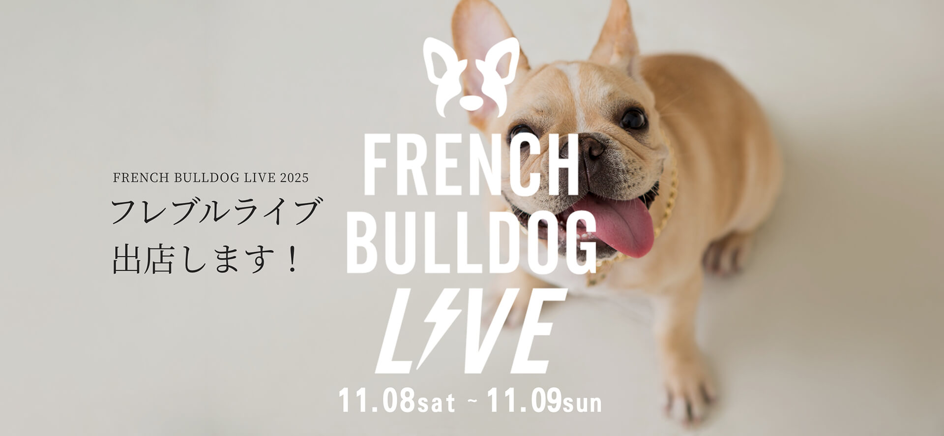 フレブルライブに出店します！ | 愛犬のオシャレなグッズならLutie