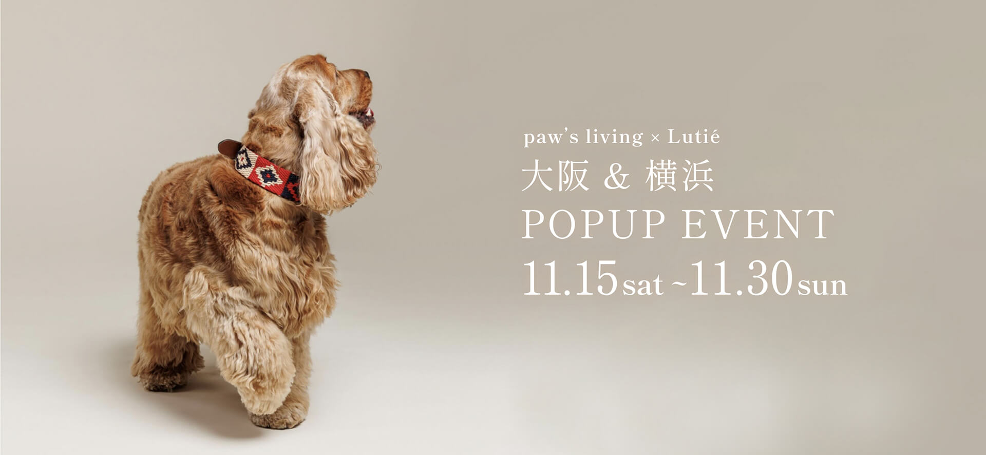 paw's living 大阪＆横浜でPOPUP EVENT開催します！ | 愛犬のオシャレなグッズならLutie