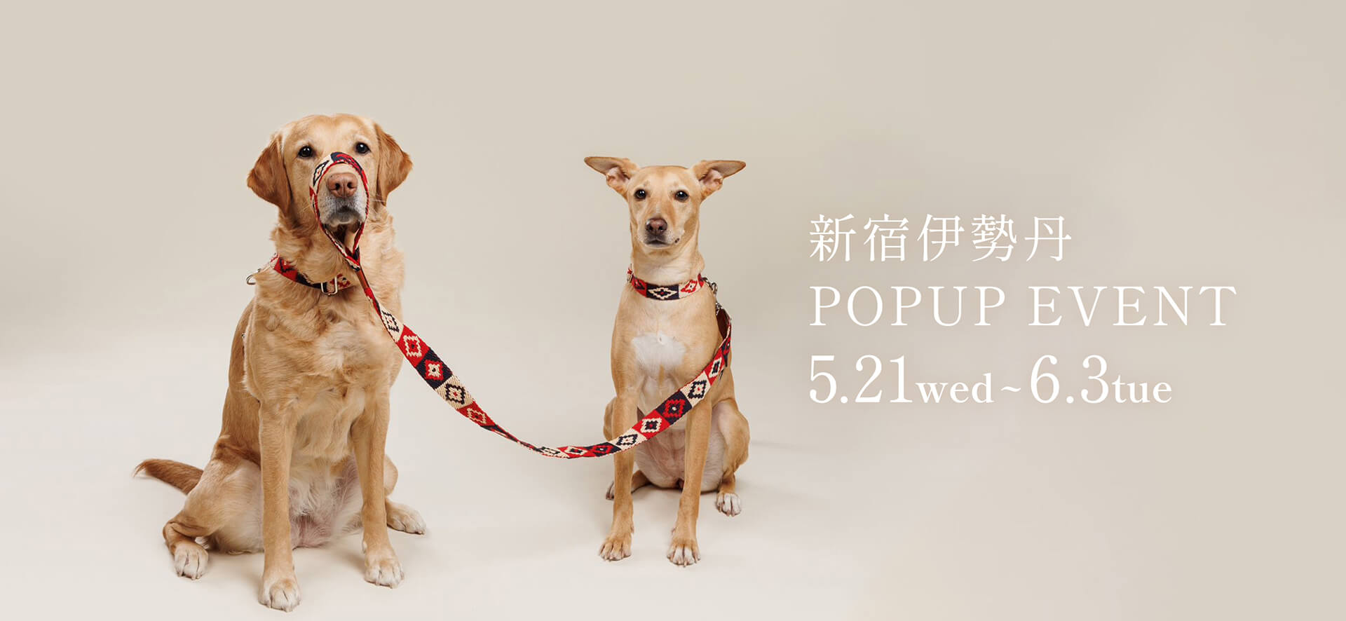 新宿伊勢丹にてポップアップイベントを開催！ | 愛犬のオシャレなグッズならLutie