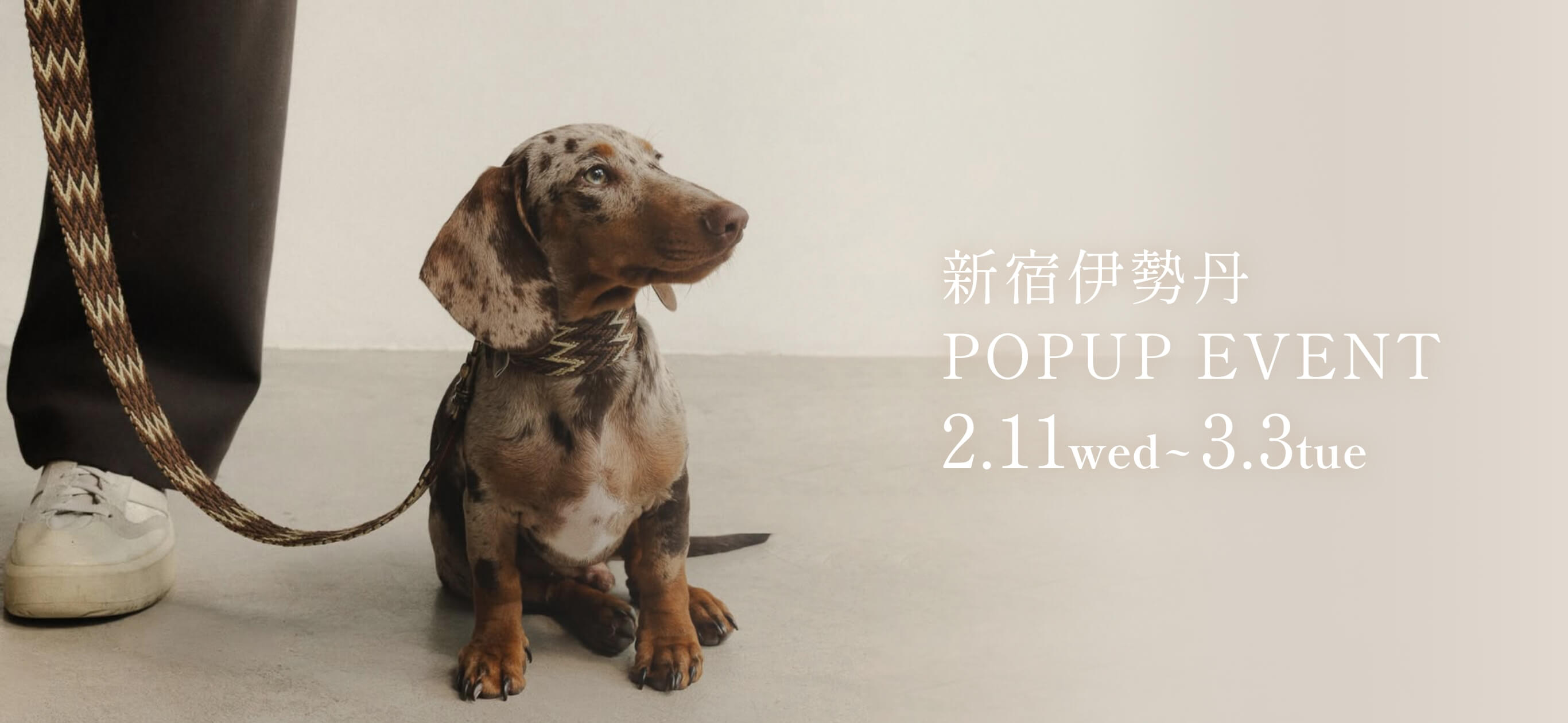 新宿伊勢丹にてポップアップイベントを開催！ | 愛犬のオシャレなグッズならLutie