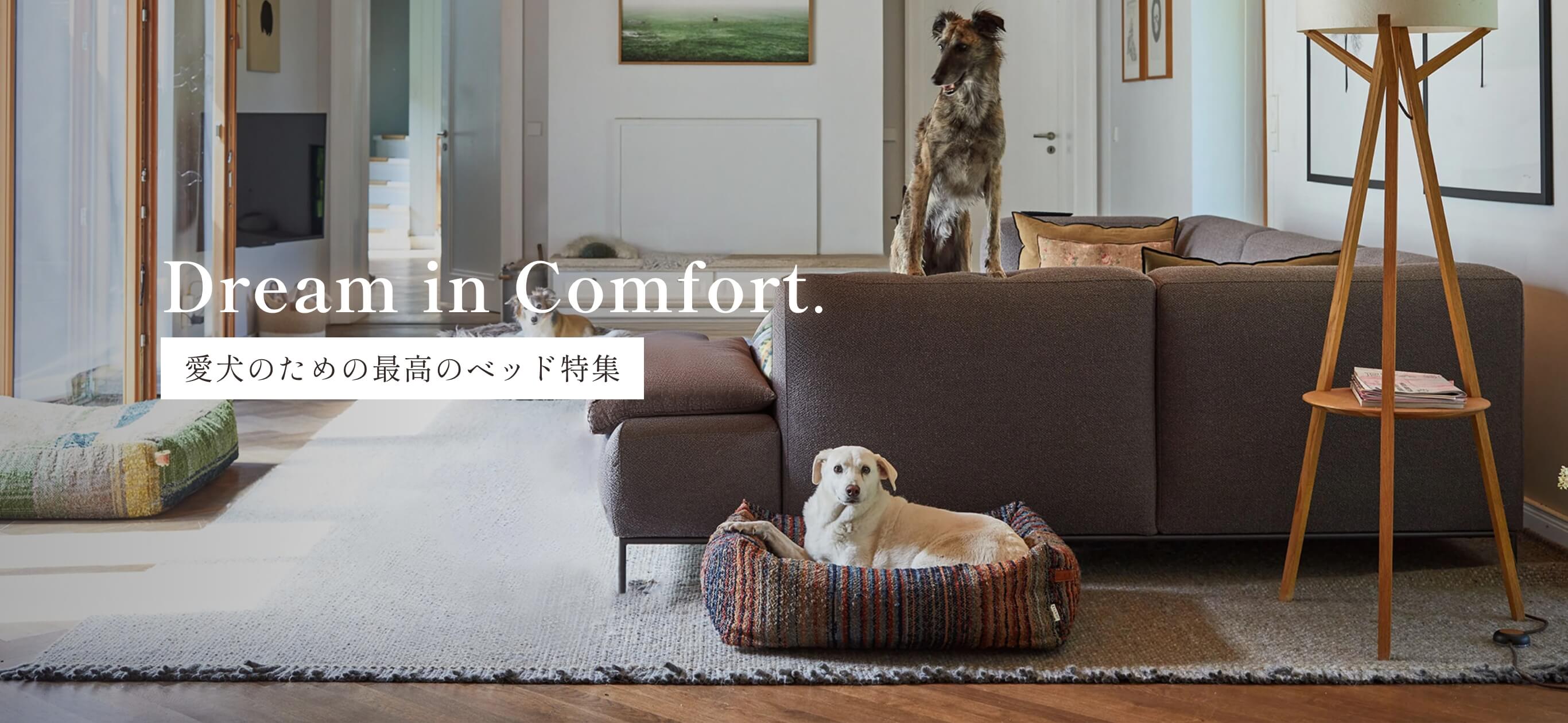 愛犬のための最高のベッド特集 | 愛犬のオシャレなグッズならLutie