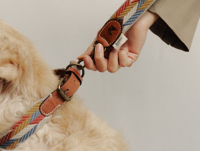 Buddys dogwearのIndian（NAYA）のリードと首輪の写真